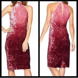 CeCe Pink Ombré Velvet Halter Top Dress - Size 8